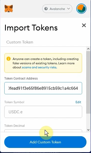 paste token contract on avalanche